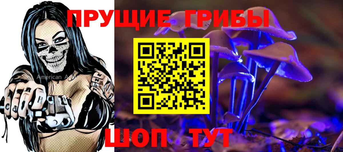 Псилоцибиновые грибы GOLDEN TEACHER Таганрог