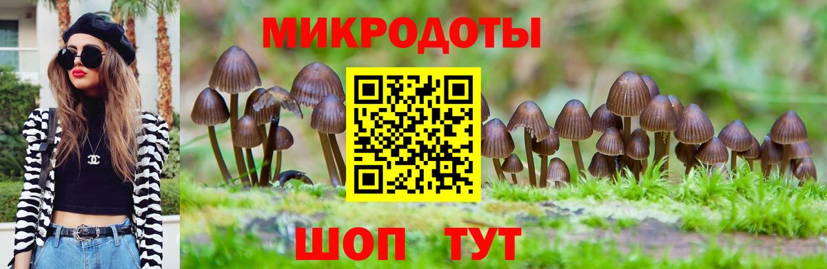 Псилоцибиновые грибы MAGIC MUSHROOMS  Вход с VPN  Таганрог 